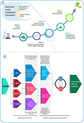 A Systems-Based Approach for Cyanide Overproduction by Bacillus megaterium for Gold Bioleaching Enhancement